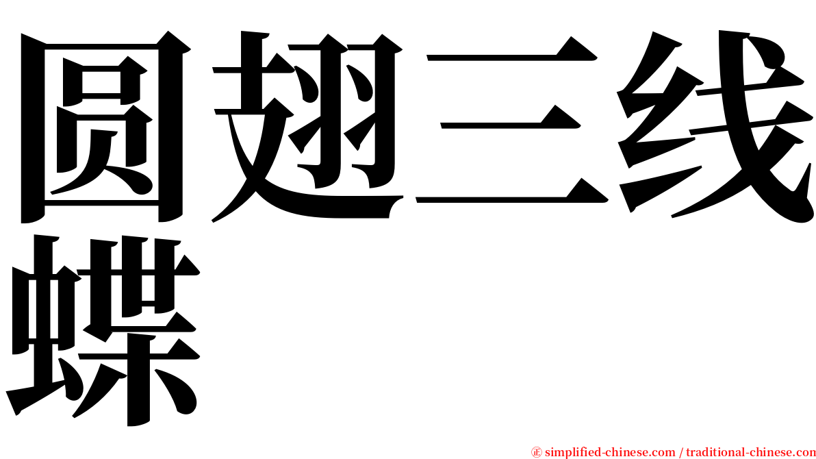 圆翅三线蝶 serif font