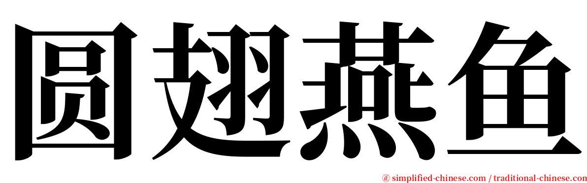 圆翅燕鱼 serif font