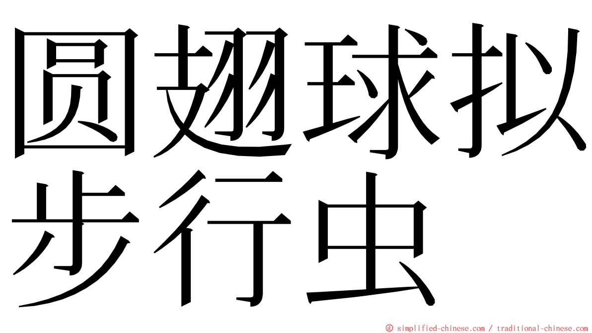 圆翅球拟步行虫 ming font