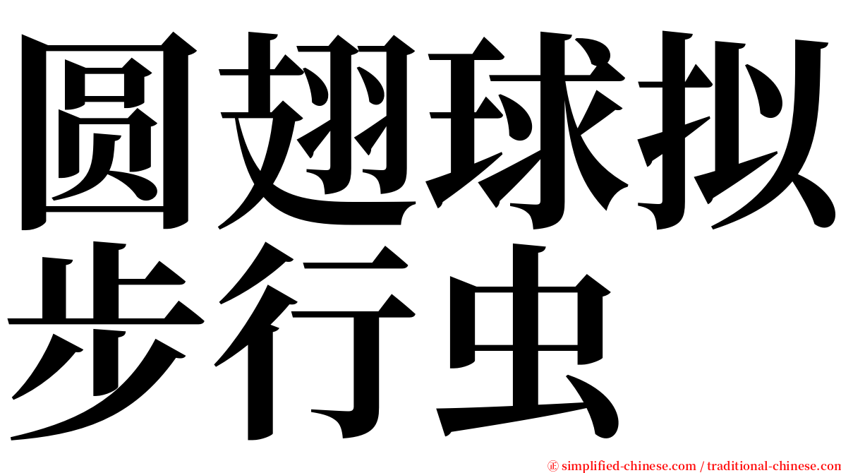 圆翅球拟步行虫 serif font