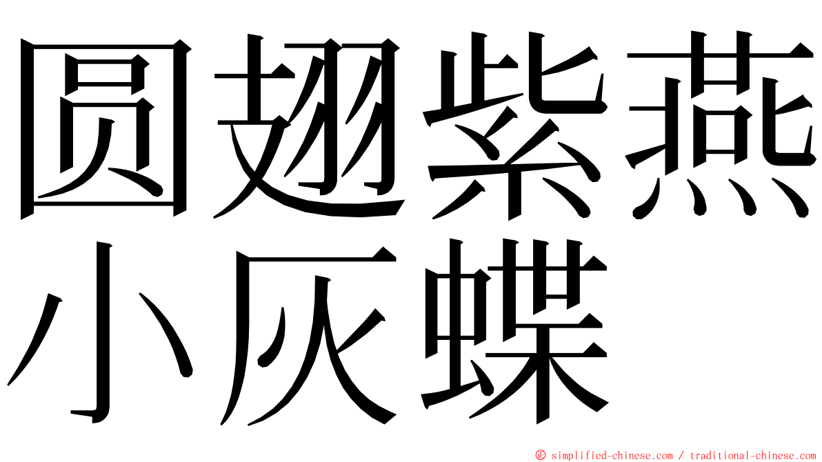 圆翅紫燕小灰蝶 ming font