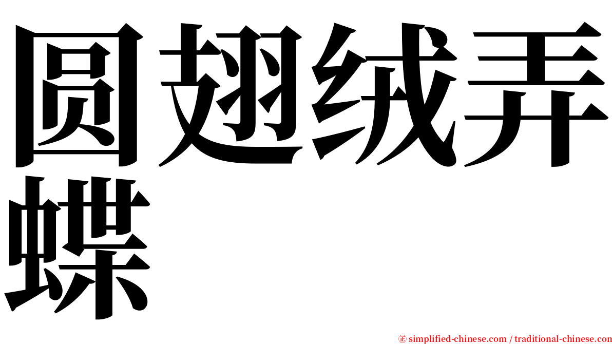 圆翅绒弄蝶 serif font