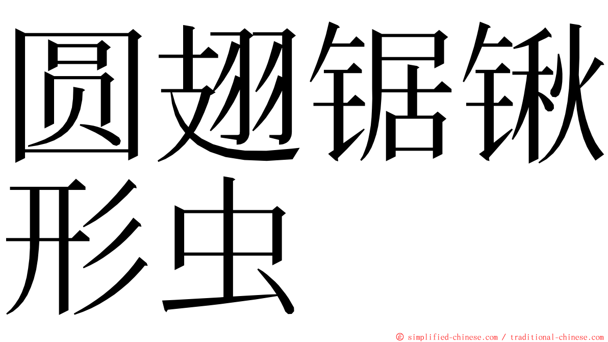 圆翅锯锹形虫 ming font