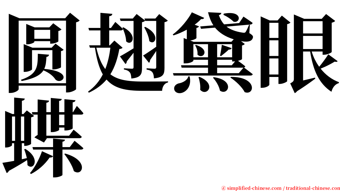 圆翅黛眼蝶 serif font