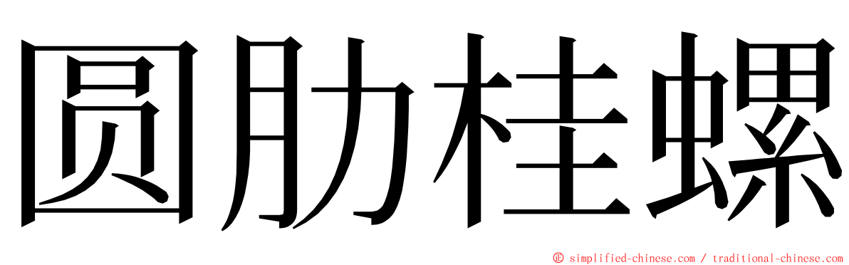 圆肋桂螺 ming font