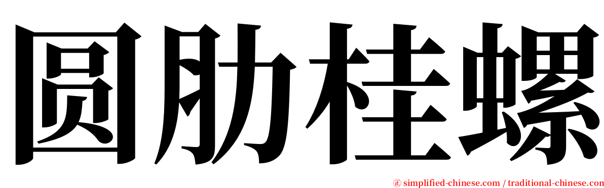 圆肋桂螺 serif font