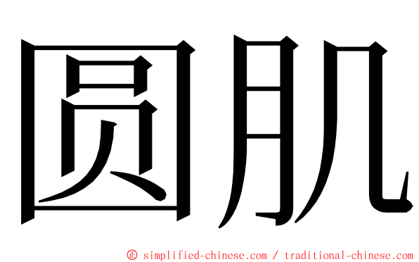 圆肌 ming font
