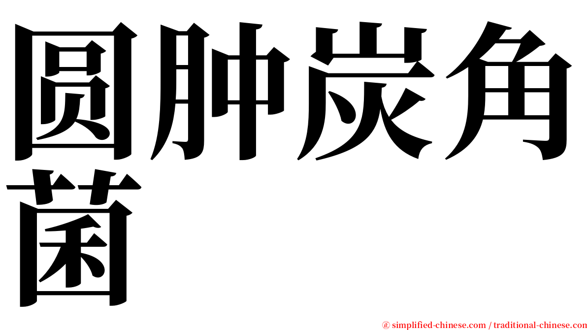 圆肿炭角菌 serif font