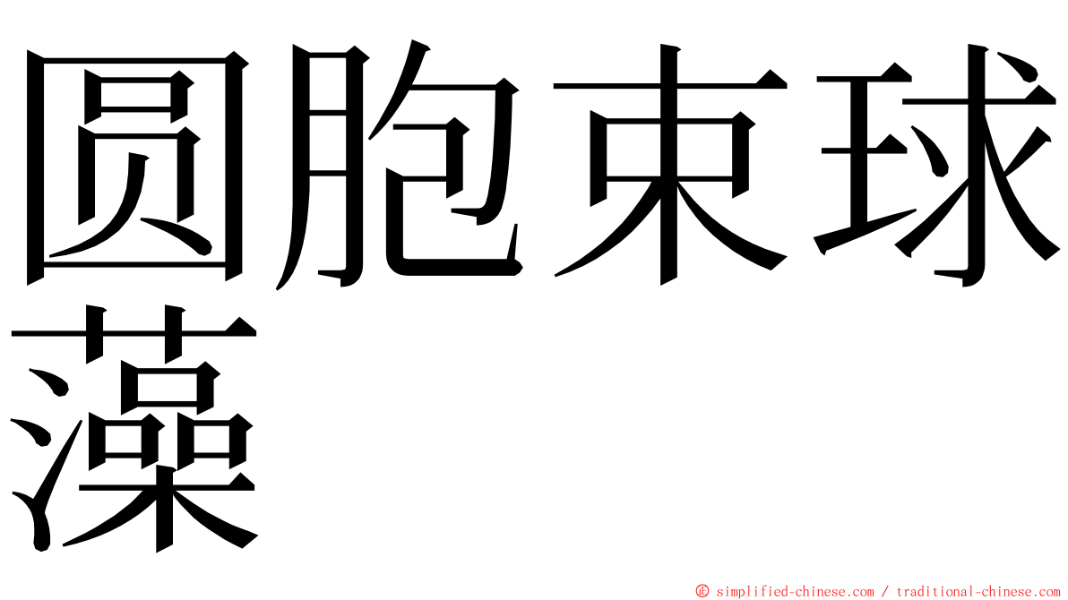 圆胞束球藻 ming font