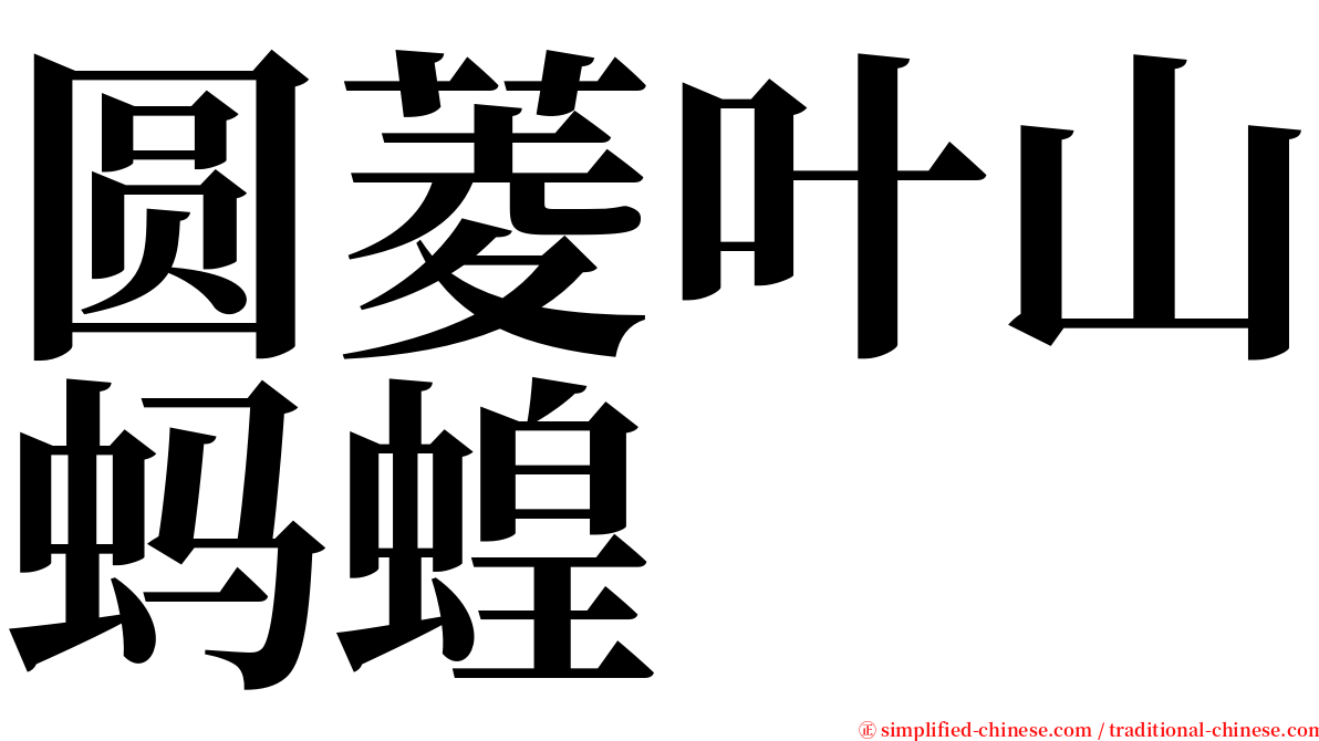 圆菱叶山蚂蝗 serif font