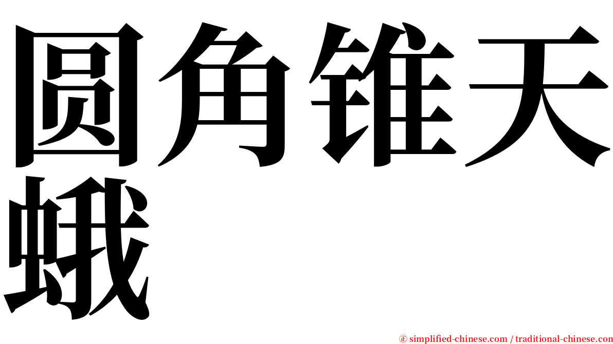 圆角锥天蛾 serif font