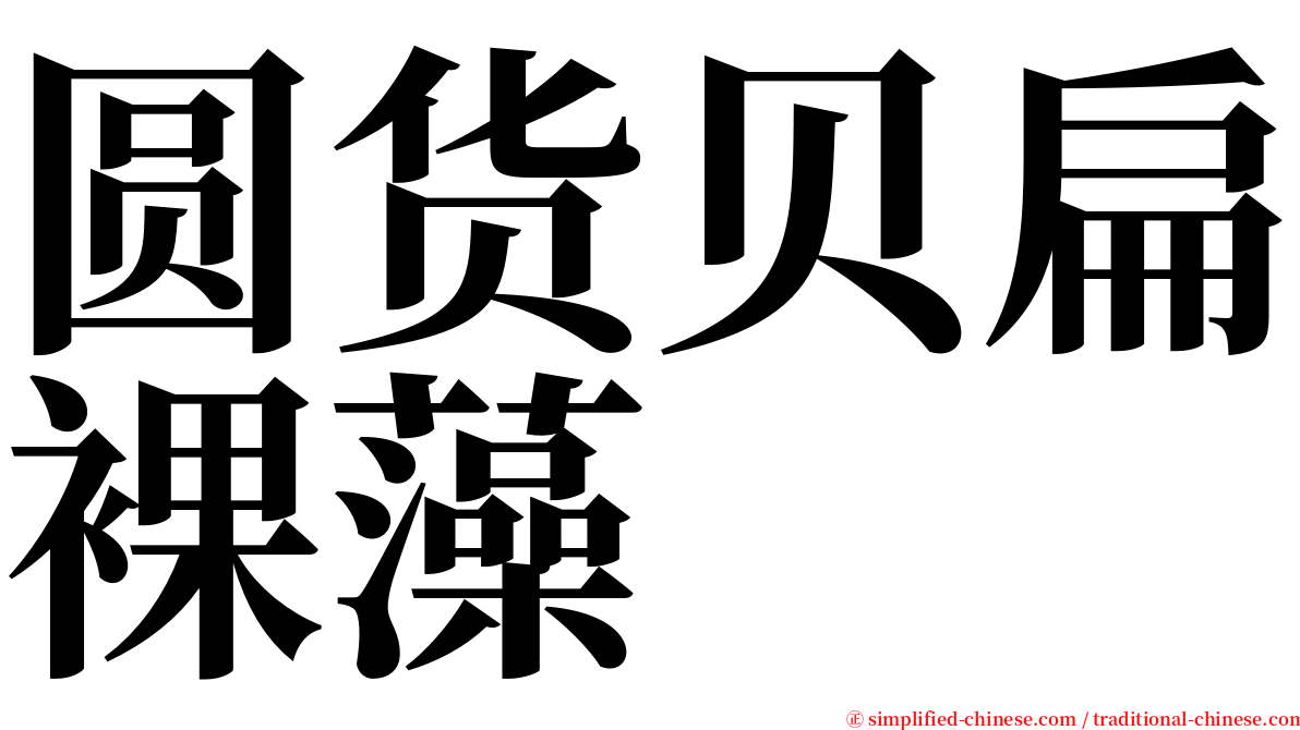 圆货贝扁裸藻 serif font