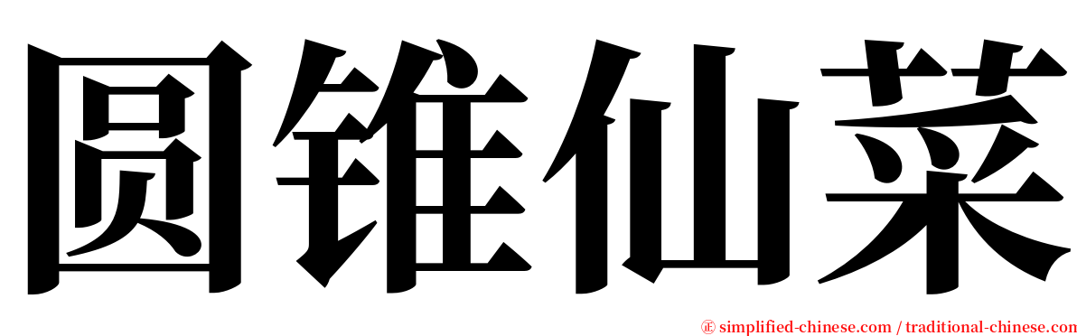 圆锥仙菜 serif font