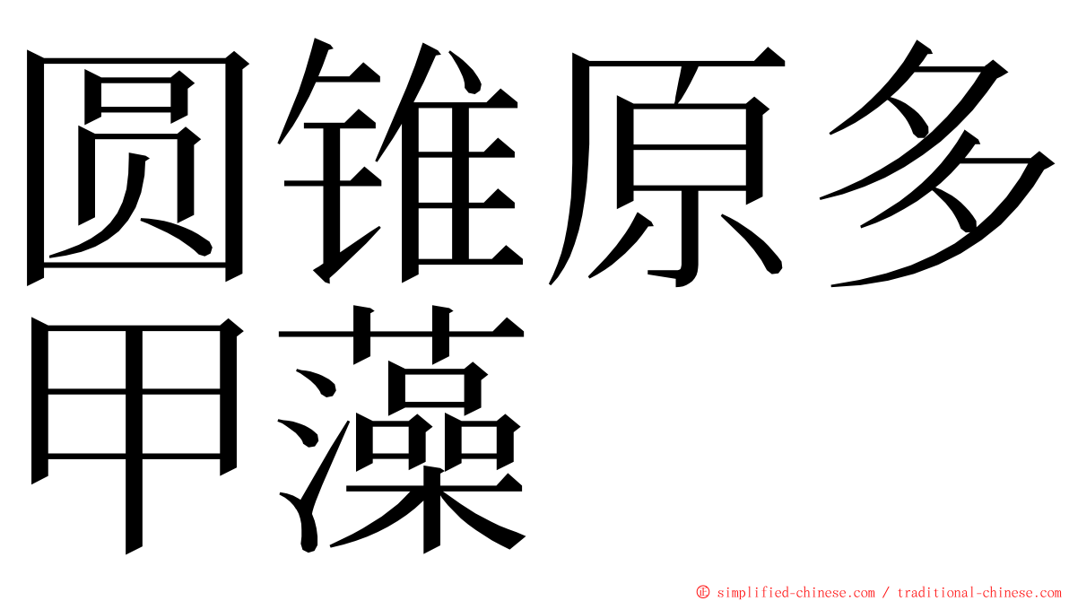 圆锥原多甲藻 ming font