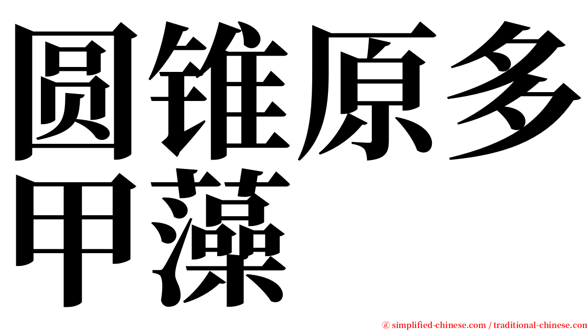 圆锥原多甲藻 serif font