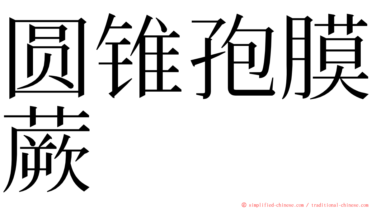 圆锥孢膜蕨 ming font