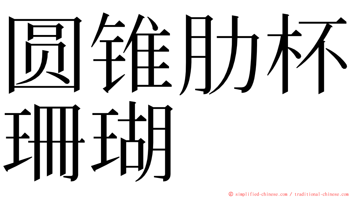 圆锥肋杯珊瑚 ming font