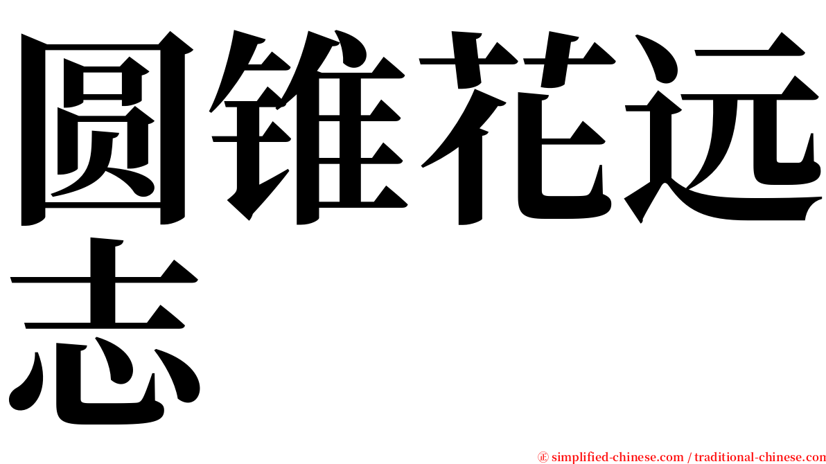 圆锥花远志 serif font