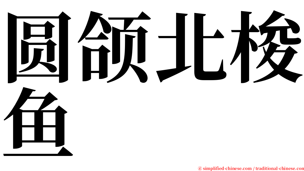 圆颌北梭鱼 serif font