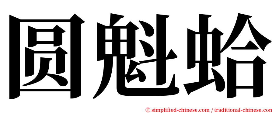 圆魁蛤 serif font