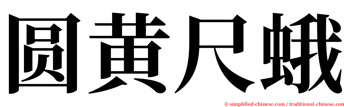 圆黄尺蛾 serif font