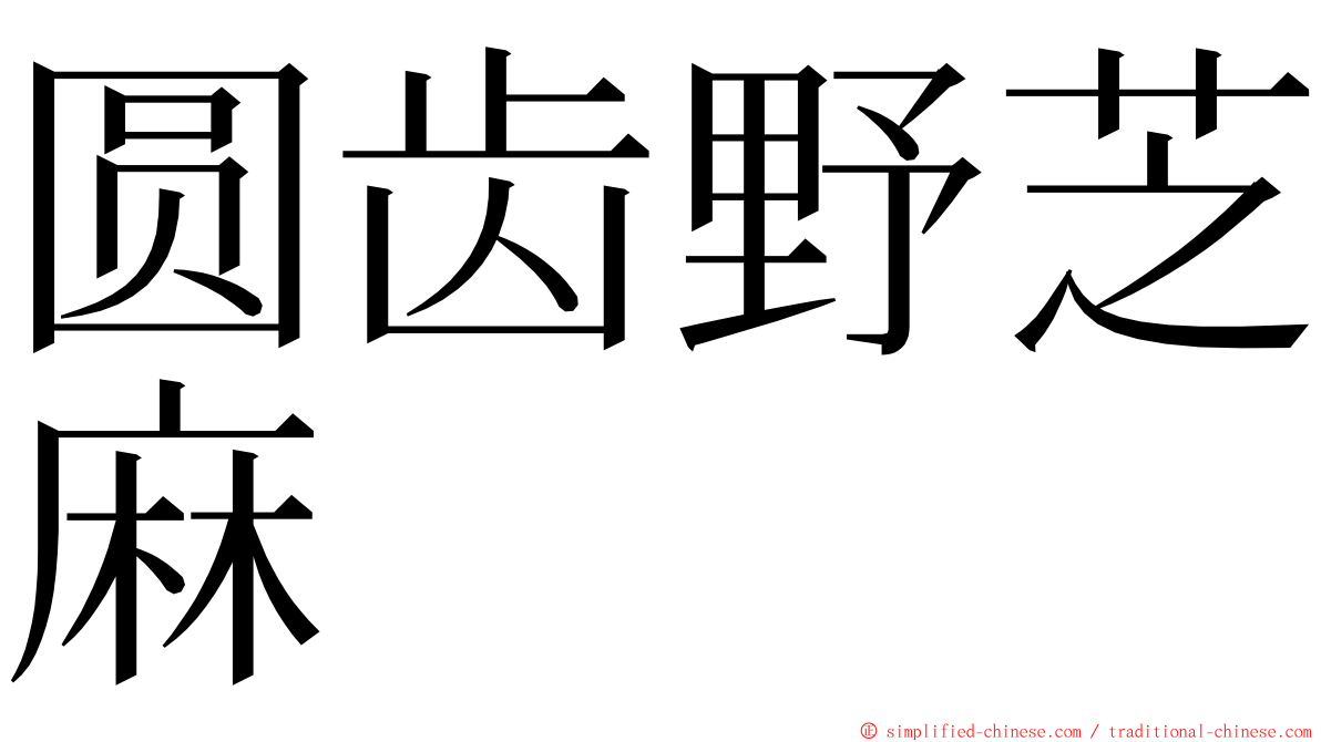 圆齿野芝麻 ming font