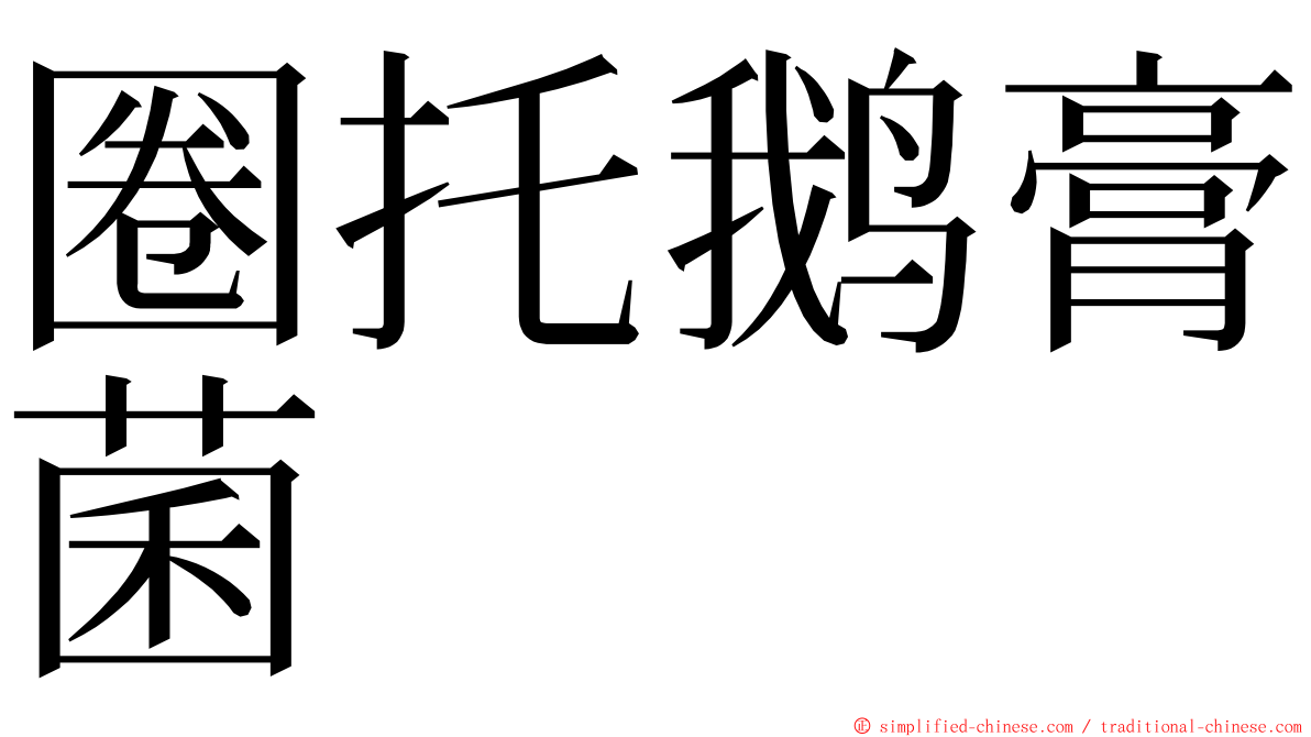圈托鹅膏菌 ming font