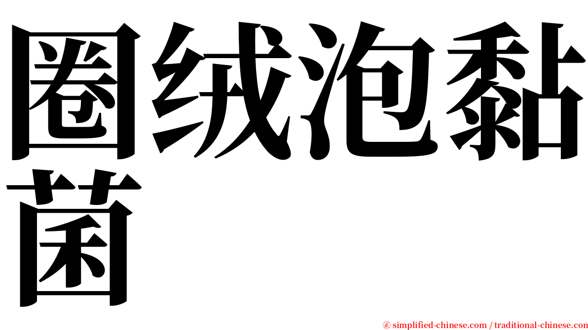 圈绒泡黏菌 serif font