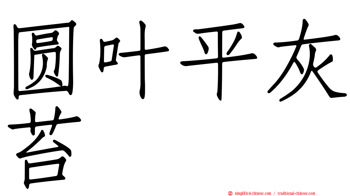 圆叶平灰苔