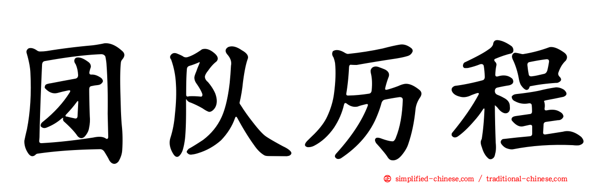 团队历程