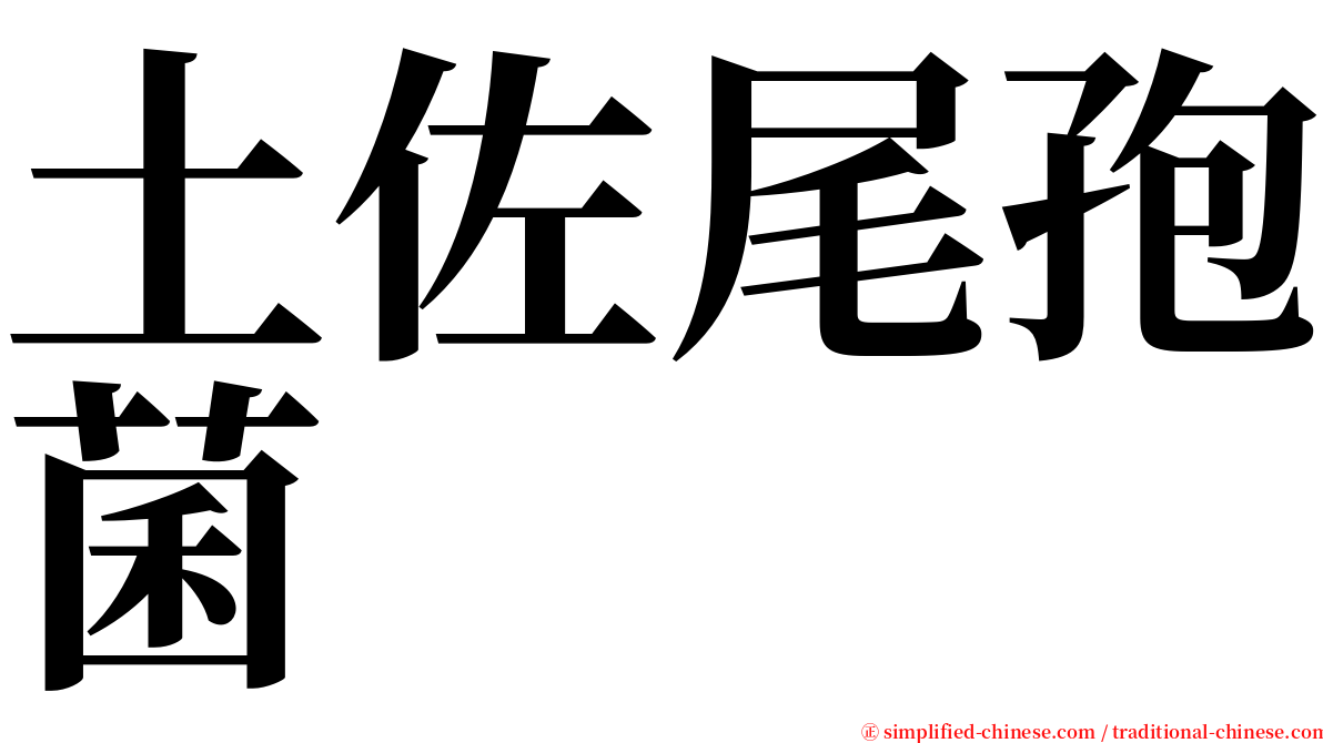 土佐尾孢菌 serif font