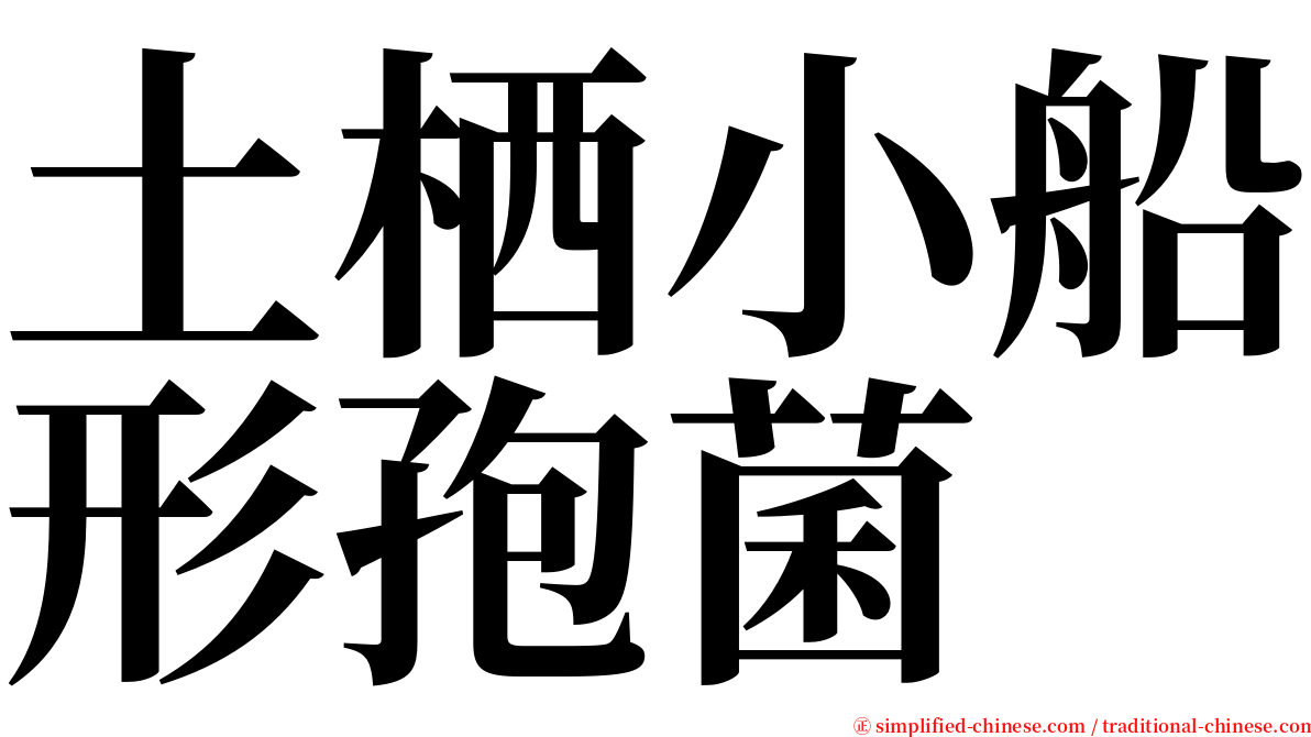 土栖小船形孢菌 serif font