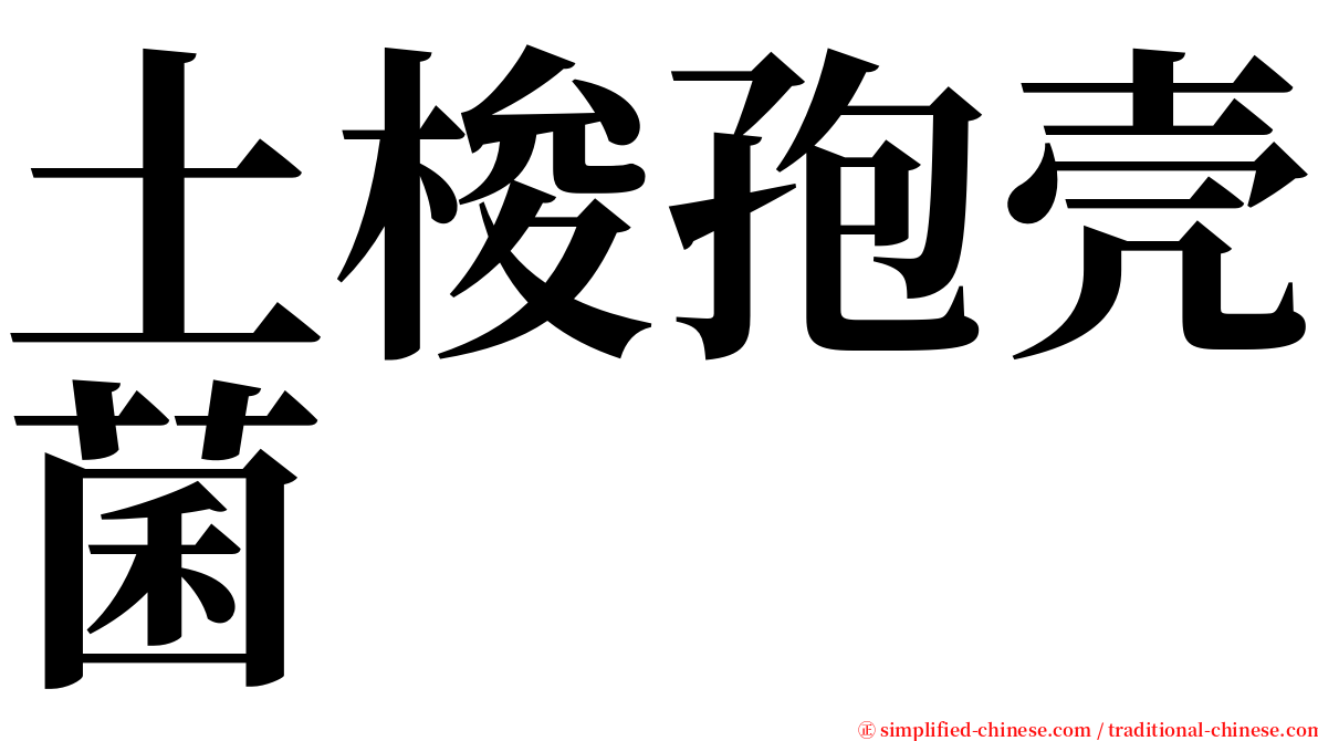 土梭孢壳菌 serif font