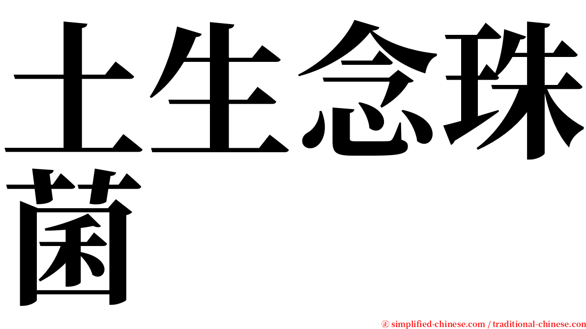 土生念珠菌 serif font