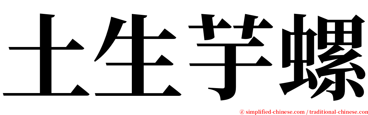 土生芋螺 serif font