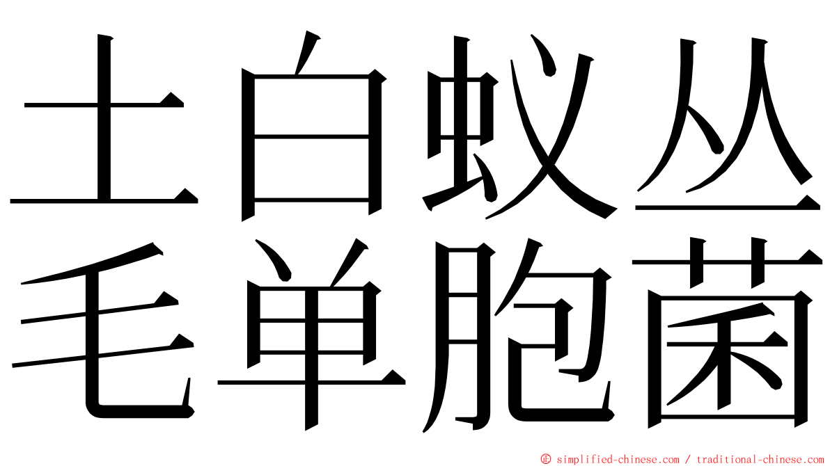 土白蚁丛毛单胞菌 ming font