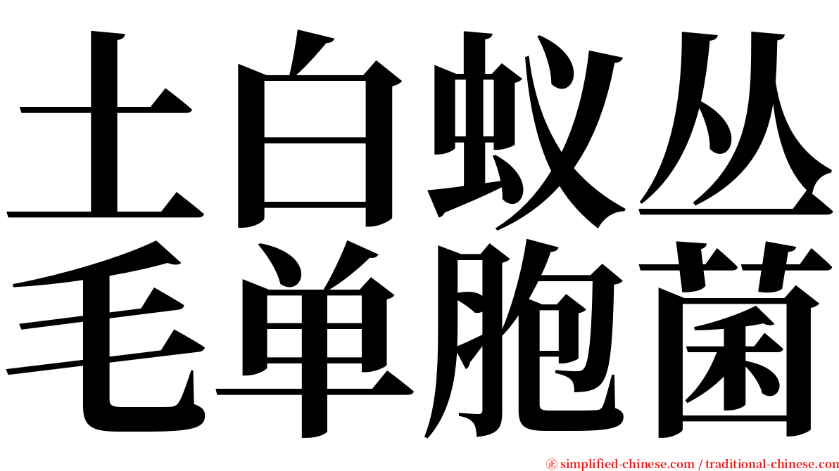 土白蚁丛毛单胞菌 serif font