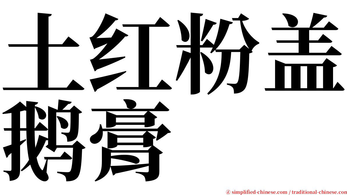 土红粉盖鹅膏 serif font