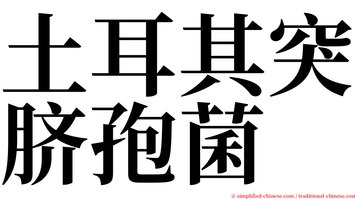 土耳其突脐孢菌 serif font