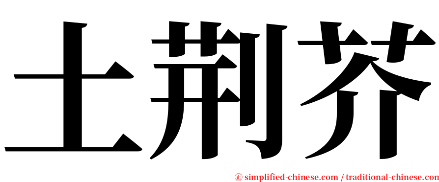 土荆芥 serif font