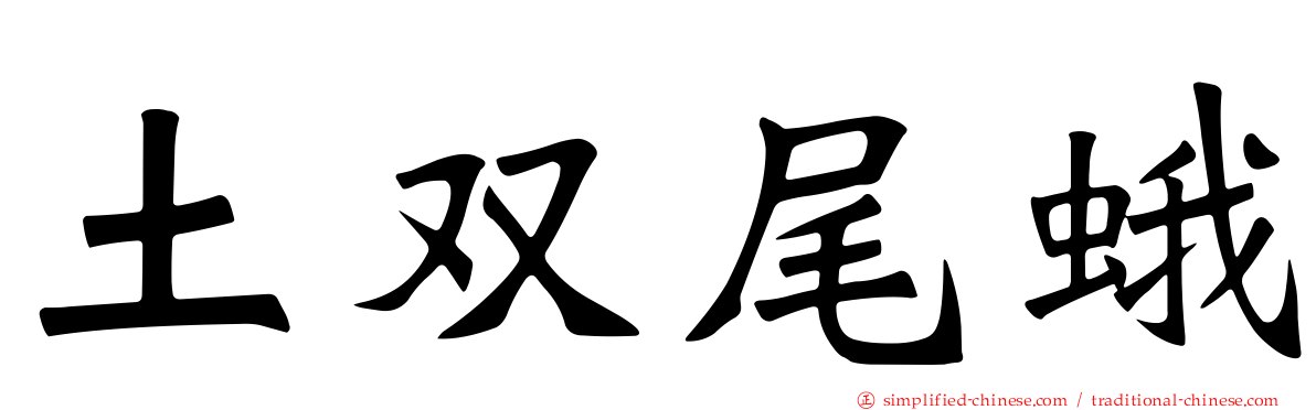 土双尾蛾