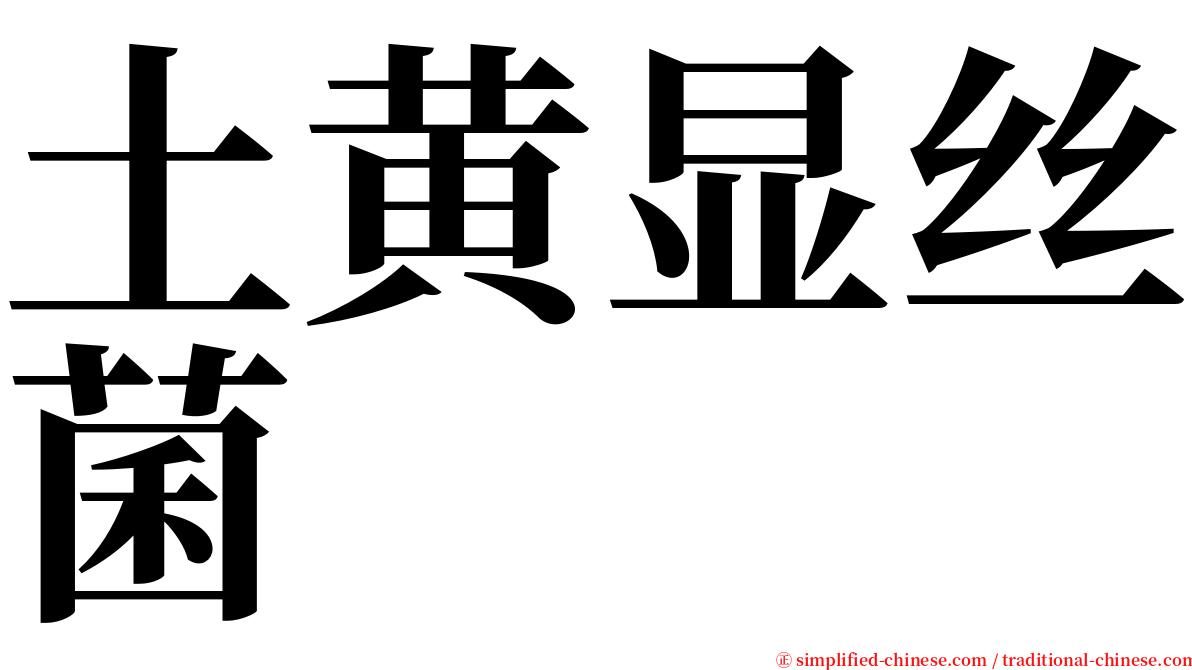土黄显丝菌 serif font