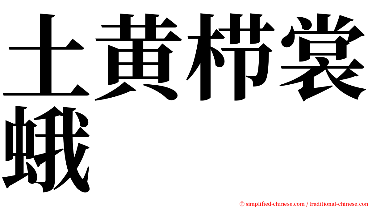 土黄栉裳蛾 serif font