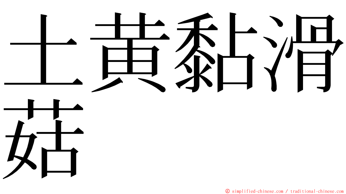 土黄黏滑菇 ming font