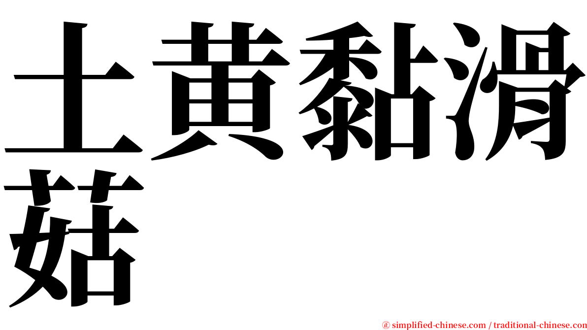 土黄黏滑菇 serif font