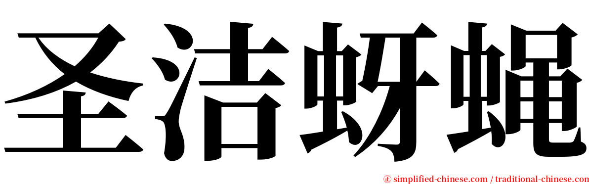 圣洁蚜蝇 serif font