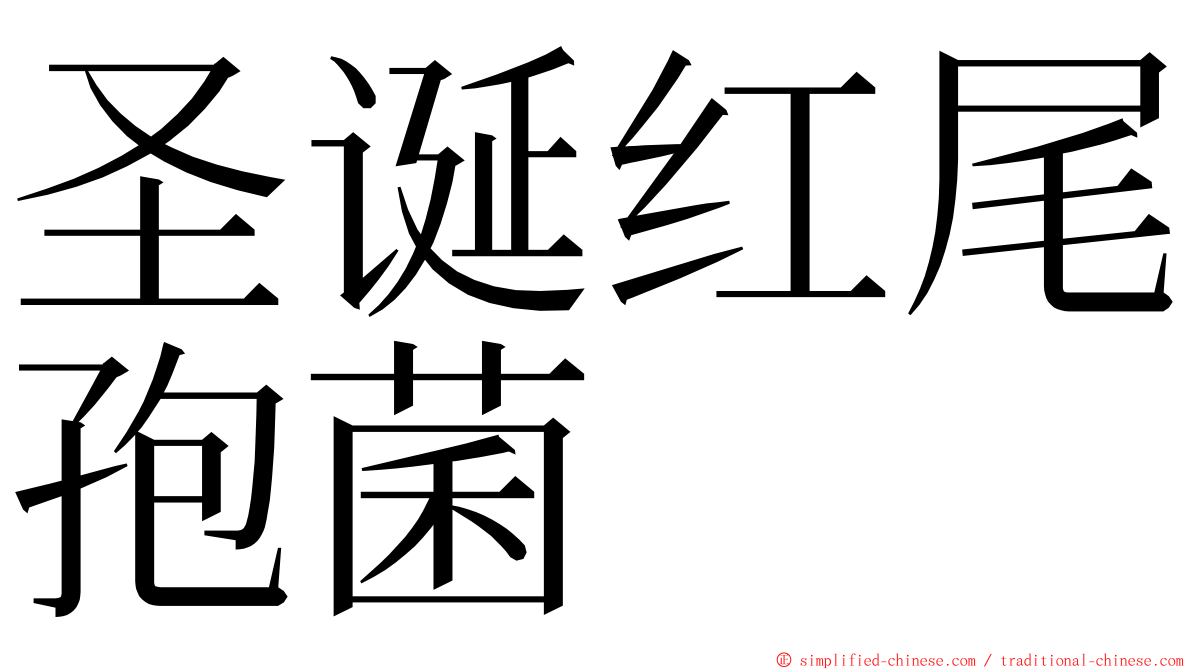 圣诞红尾孢菌 ming font