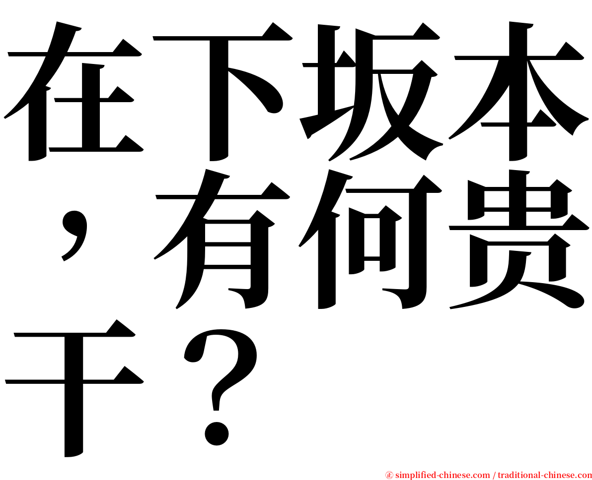 在下坂本，有何贵干？ serif font