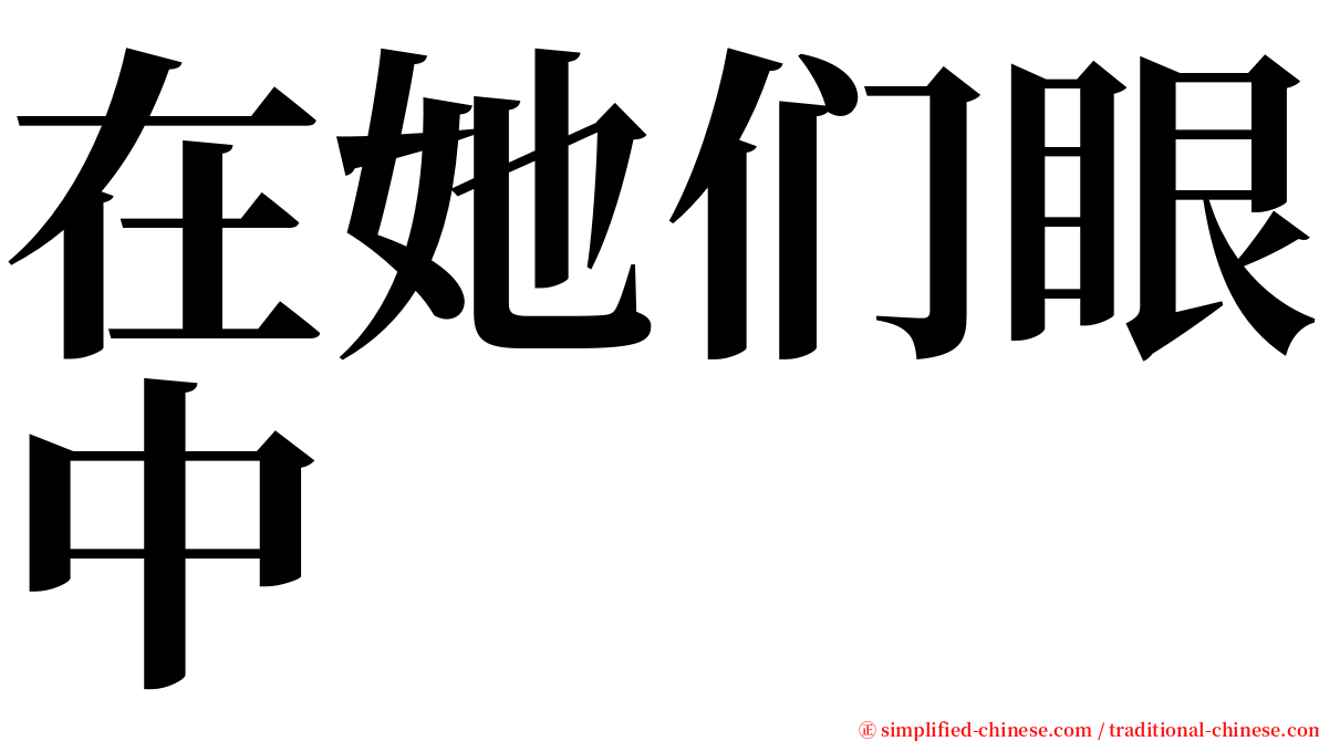 在她们眼中 serif font