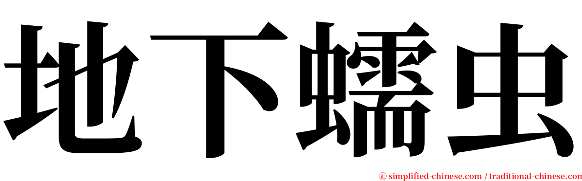 地下蠕虫 serif font